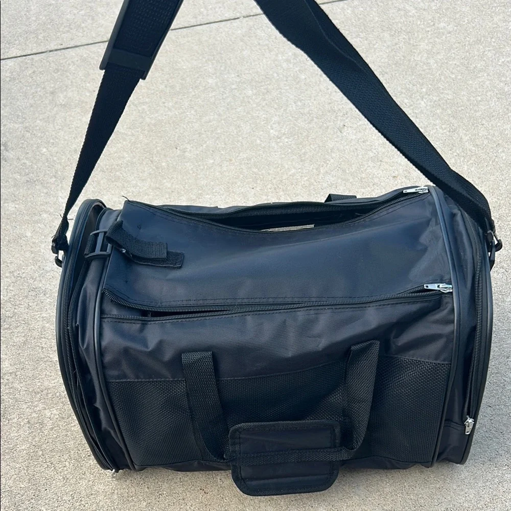 Collapsible cat carrier